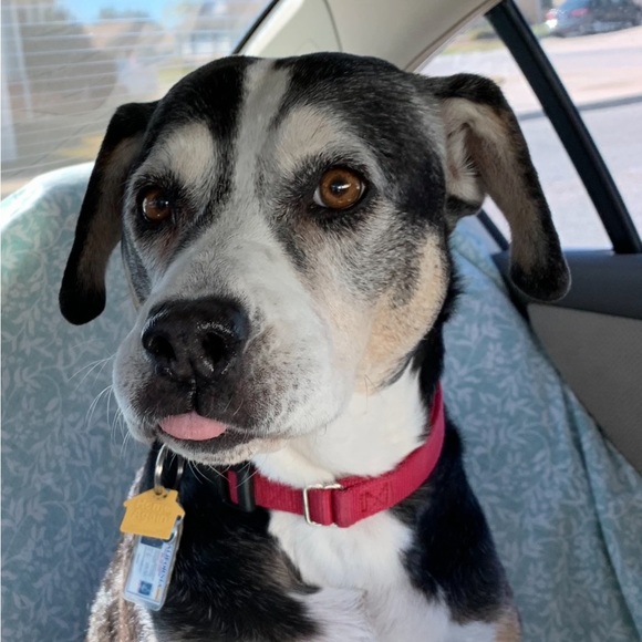 Meet your Posher, Kazue - Picture 1 of 1